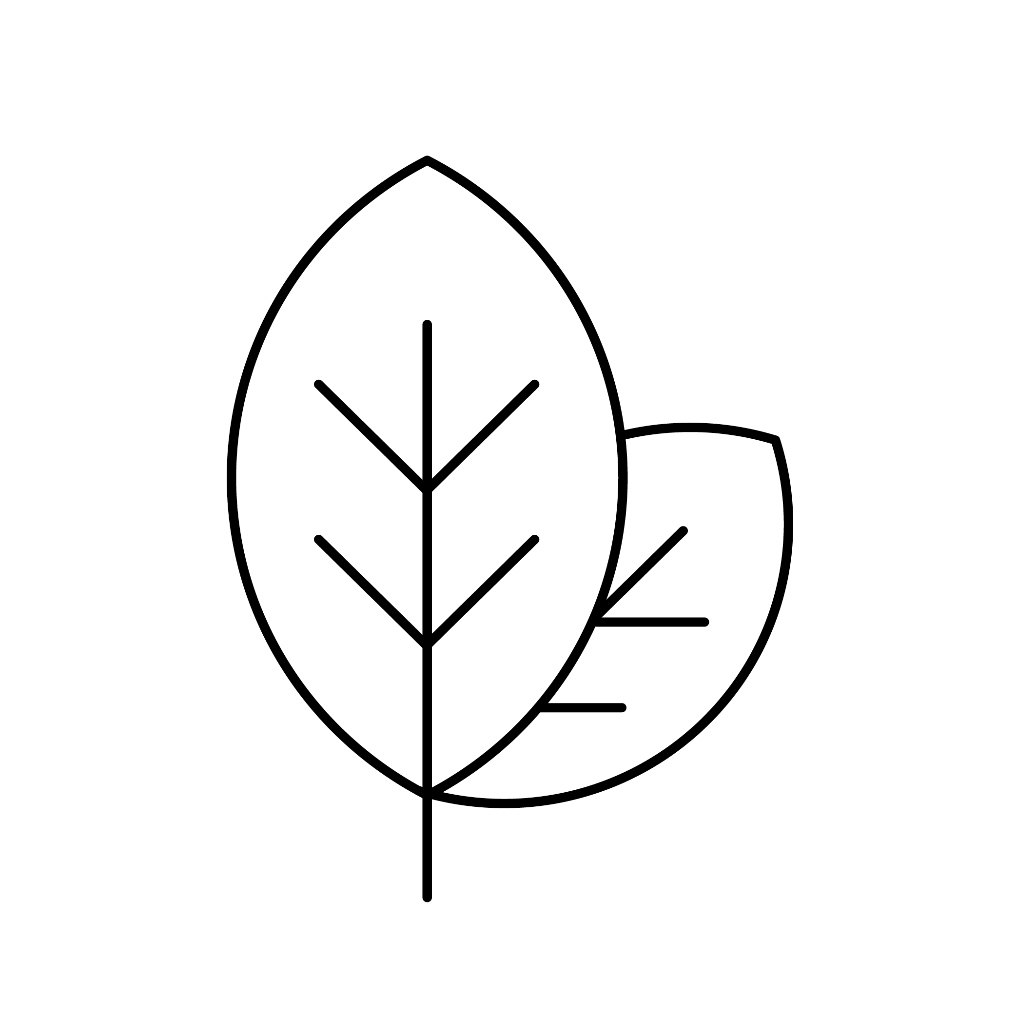 Organic leaf icon