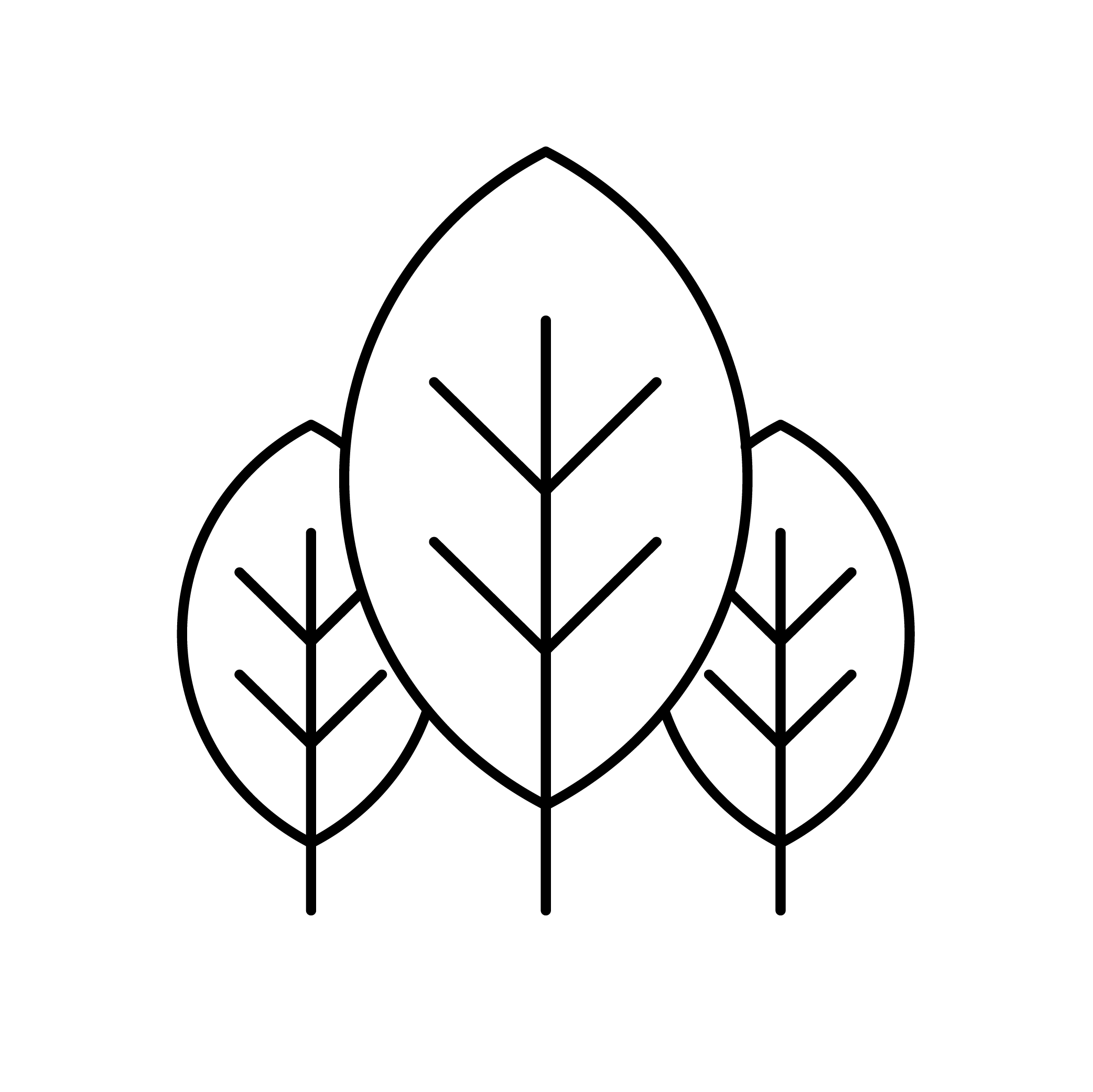 Plant leaves icon